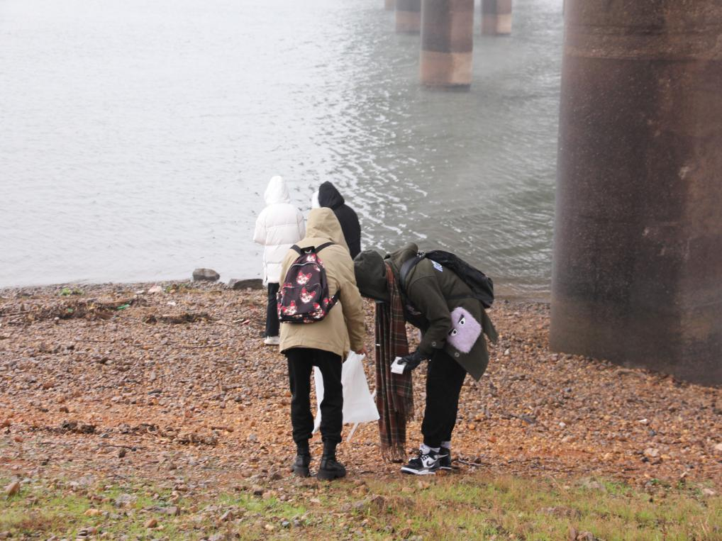 8c10646fc9f84a83a0d2470d8dc71231.png 8c10646fc9f84a83a0d2470d8dc71231.png