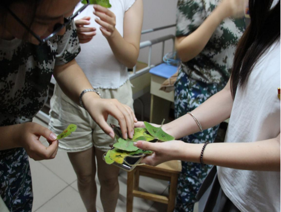 7991dd89d3564aa0a730d242ea99d41a.png 7991dd89d3564aa0a730d242ea99d41a.png